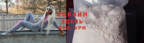 соль ск Переславль-Залесский