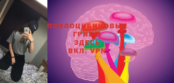 apvp Пересвет