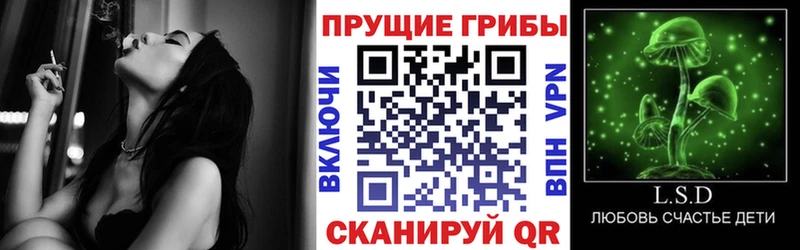 Галлюциногенные грибы Psilocybine cubensis продажа наркотиков Мостовской