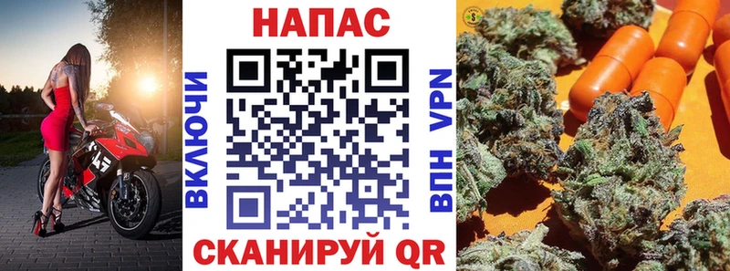 Конопля Amnesia  Мостовской 